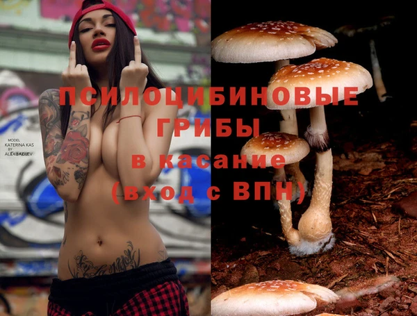 молекула духа Алексеевка