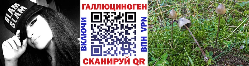 Галлюциногенные грибы MAGIC MUSHROOMS  ОМГ ОМГ зеркало  Дмитров 
